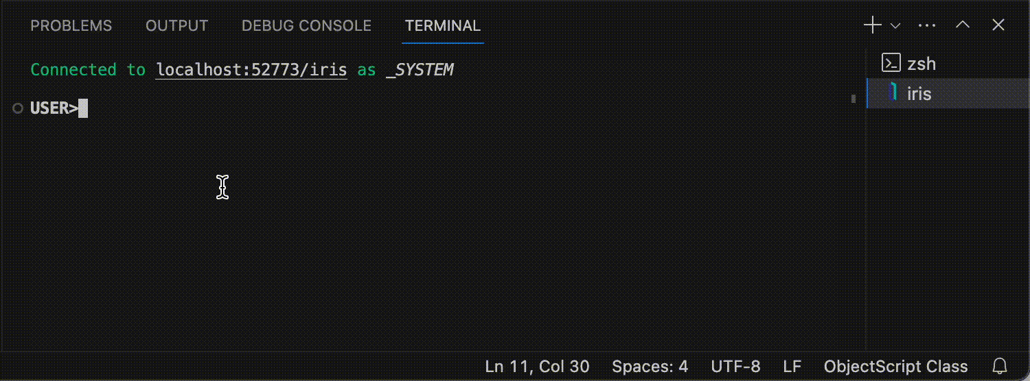 Comment exécuter des commandes ObjectScript dans le terminal intégré VS ...